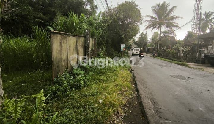 TANAH PINGGIR JALAN RAYA UBUD 25 ARE SIAP BANGUN , LOKASI STRATEGIS & INVESTASI MENJANJIKAN !