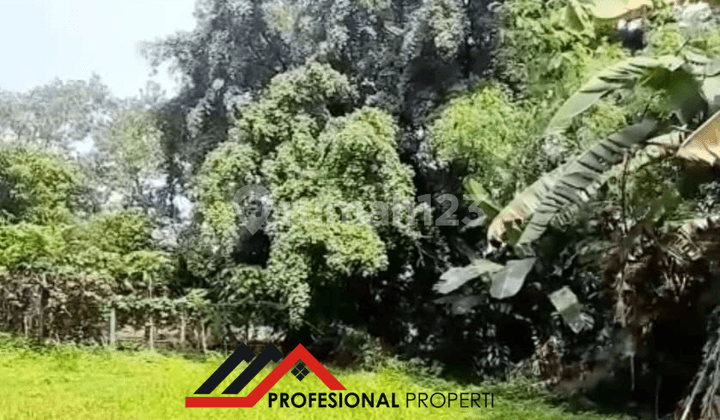 VILLA LAMA HITUNG TANAH KOSONG VIEW DANAU SITU GINTUNG