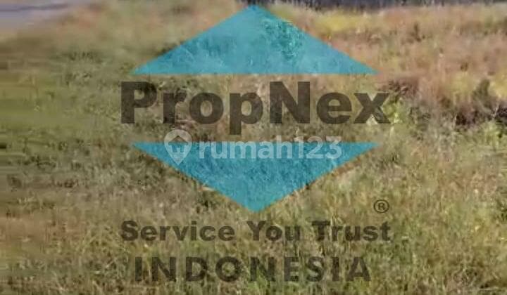 For sale: plot of land in Doho Agung village, Balonpanggang, Gresik.