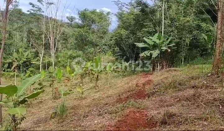 Tanah di Murnisari Mande, Cianjur SHM 8.350 m²