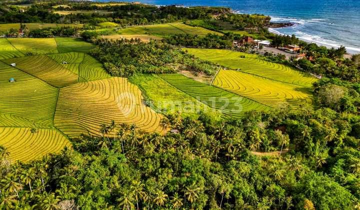 Tabanan Land - Near Soka Beach