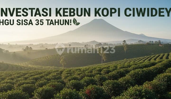 Tanah Kebun Kopi Ciwidey