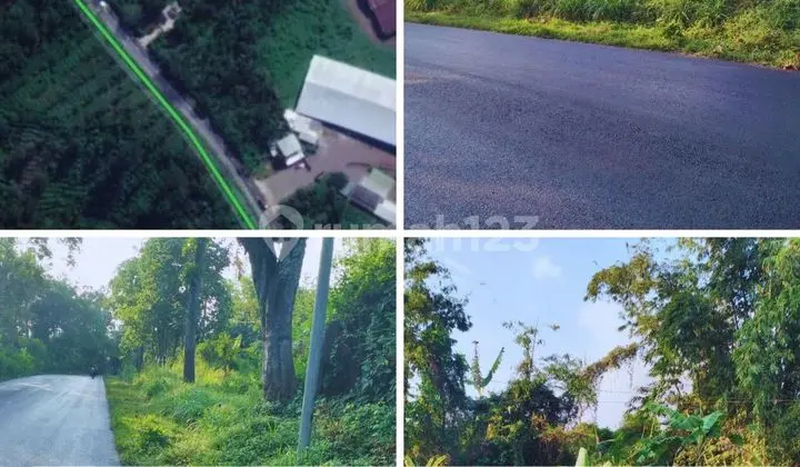 Dijual Tanah Kosong Poros Jalan Raya Nongkojajar Jawa Timur In