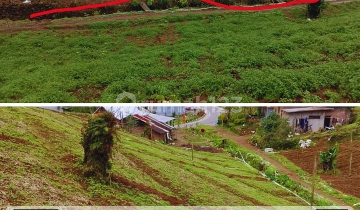 Dijual Tanah Kosong Desa Bulu'ballea Pattapang Gowa Ar Nego