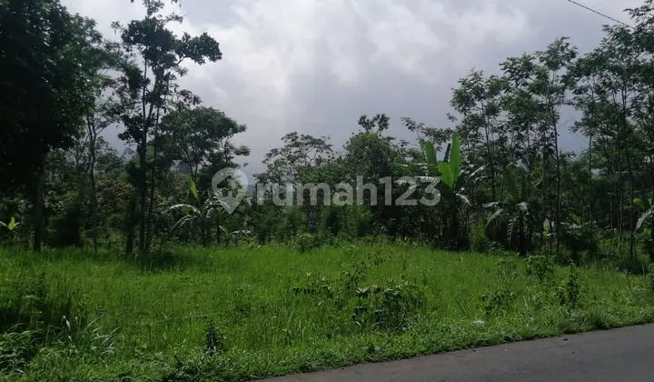 Tanah Kavling Padat Jalan Argosari Raya Randuacir Salatiga Jawa Tengah Investasi Menguntungkan