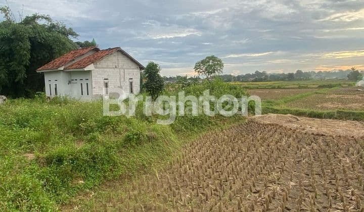 Tanah Sawah Padat Babat Legok Tangerang Banten Harga Murah Terjangkau