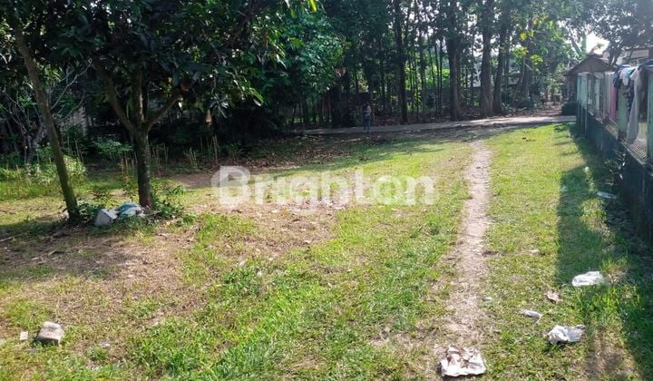 TANAH PADAT DATAR KAMPUNG PASIR PUTIH DESA CITAYAM TAJURHALANG BOGOR HARGA MURAH TERJANGKAU