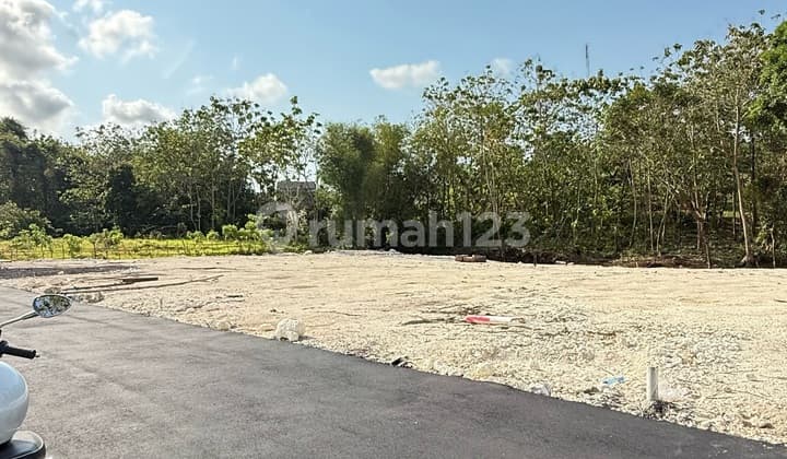 For Sale – Beautiful Land Plot in Kutuh – Badung, Bali