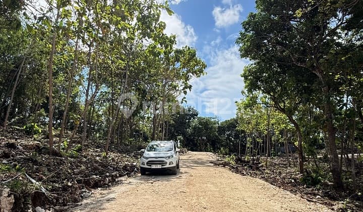 Dijual Kavling Premium - Pecatu, Kuta Selatan Bali