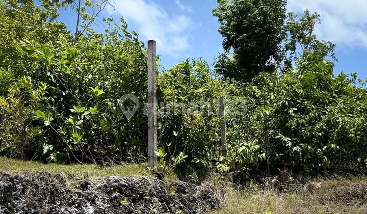 Dijual Tanah Ocean View - Bukit Bintang, Ungasan - Bali