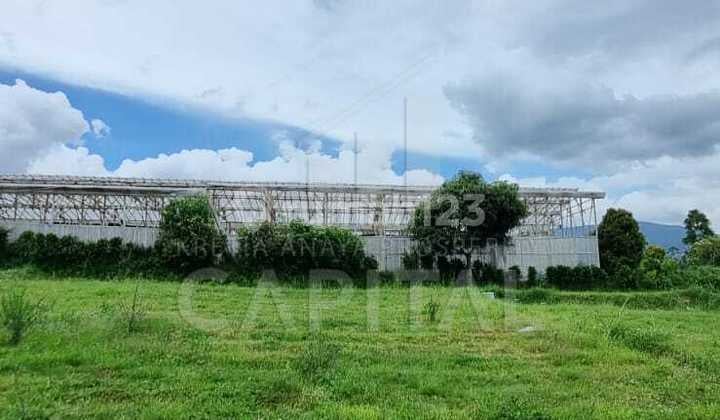 Tanah Cocok untuk Villa Peternakan di Sayap Kolonel Masturi