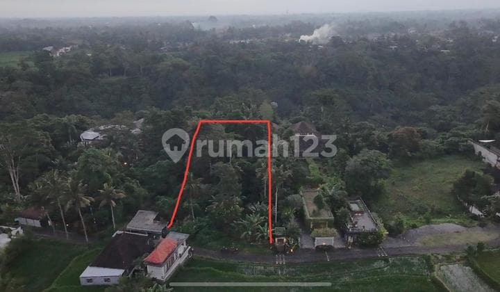 Exceptional Leasehold Land in Ubud - 19 Are Prime Land with Peaceful "Jungle View" near Ubud Center