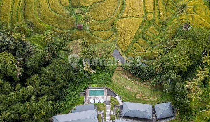 Hak Milik Sawah Vista Retreat Hidup Mewah Tenang Di Surga Panorama Ubud