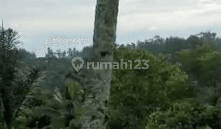 Land Freehold Discover Your Slice Of Paradise At Buahan, Payangan, Ubud