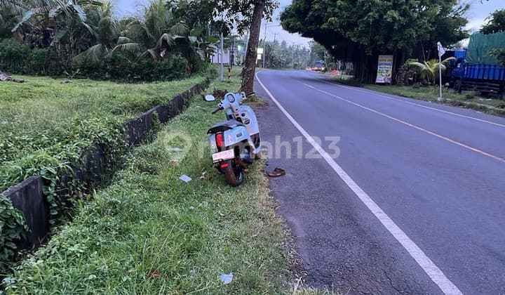 Leasehold - Land Prime in Jembrana, Bali