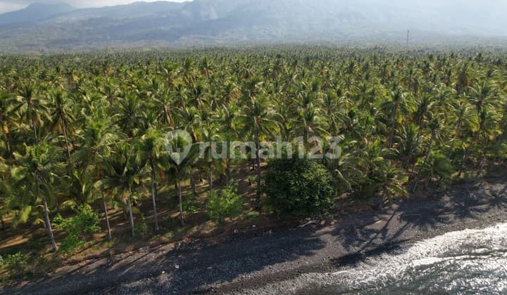 Leasehold Exclusive Beachfront Land In Tejakula, Buleleng A Rare Investment Opportunity