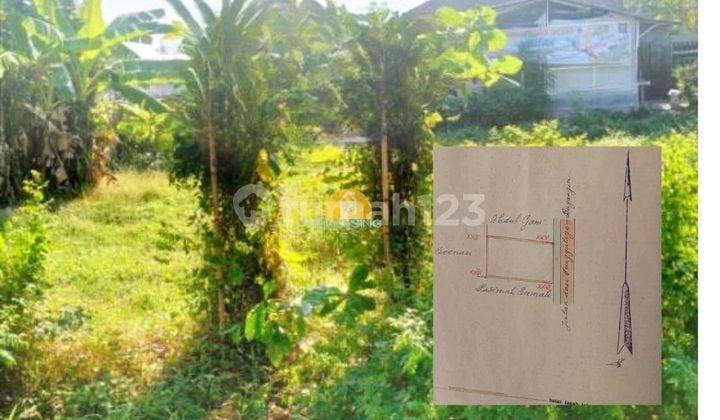 Tanah Di Tunggulrejo, Kendal, Kendal, Jawa Tengah, Indonesia, 51316, Kendal