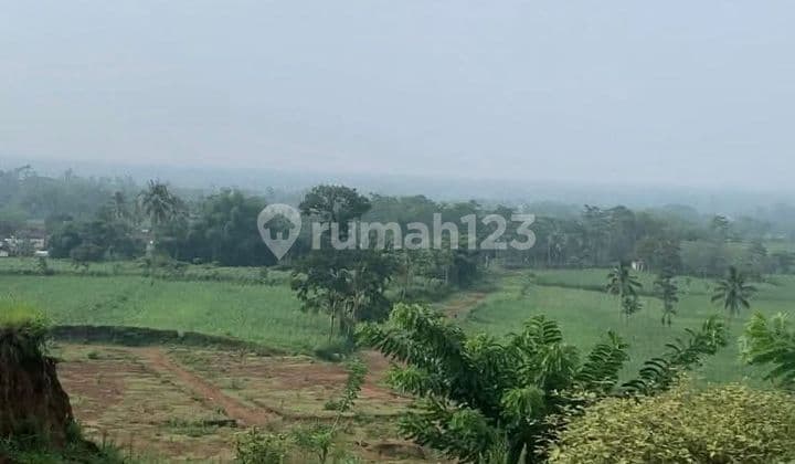 Tanah Strategis di Malang Cocok Dibangun Perumahan