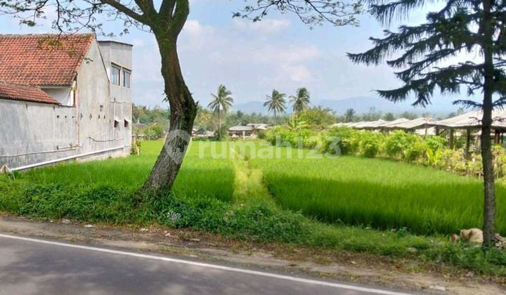 Dijual Tanah Kabupaten Malang Jalibar Bypass Malang