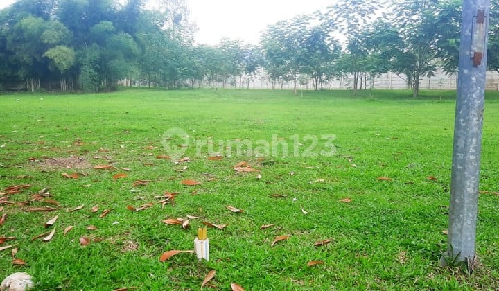 Dijual Kavling Siap Bangun Di Sutera Mentari Area Alam Sutera