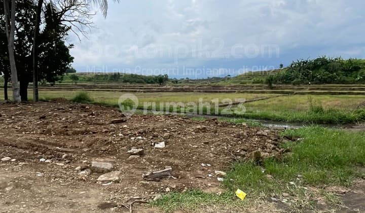 Jual Tanah Di Bali Barat Yehembang Medewi Beach 43 Are