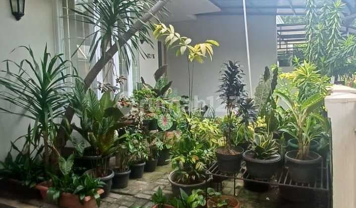 Rumah Siap Huni Di Perumahan Puri Indah Luas 10 X 15 M2