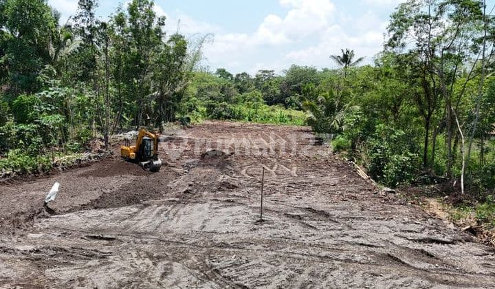 Pekarangan, Profit Lebih Tebal, Cocok Villa