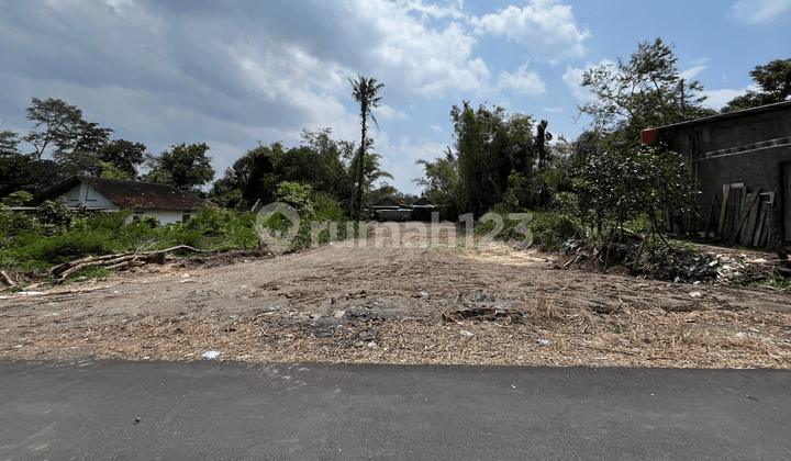 Hanya 900 Meter Jalan Selomartani Jogja, SHM Pekarangan