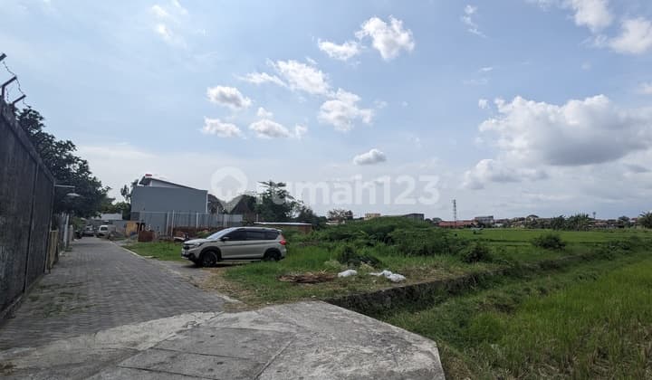 Suitable for Residences and Homestays in Jogja, Rice Field Views