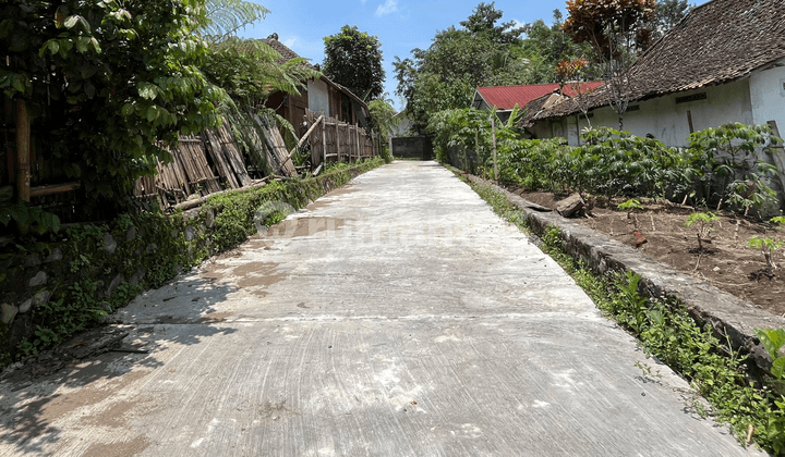 Cocok Bangun Rumah dan Homestay, Utara Uii