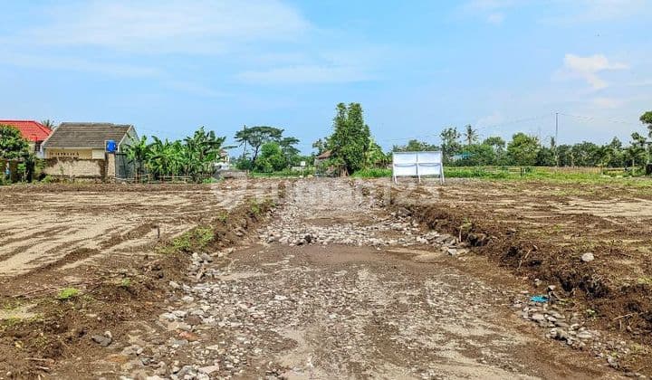 Utara Pamela Tujuh Purwomartani, Shm Pekarangan