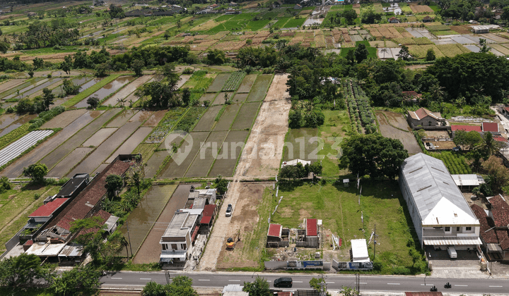 Tanah Strategis Mangku Jalan Aspal Pandowoharjo, Sleman
