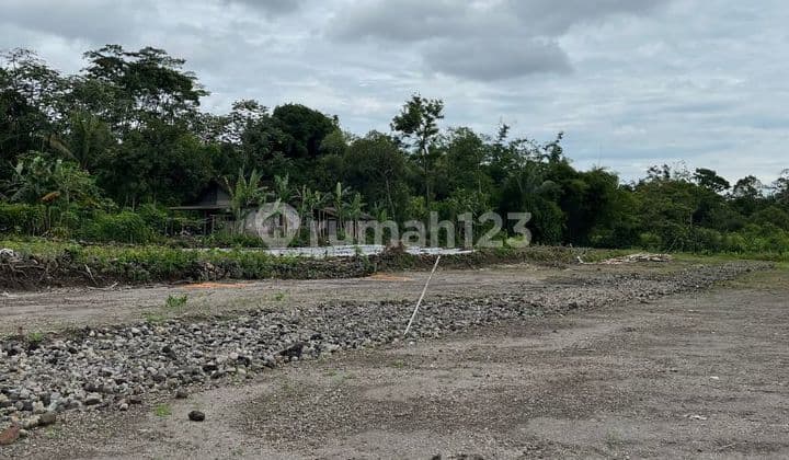 Betulan Sejuk dan Asri Sangat Cocok untuk di Huni