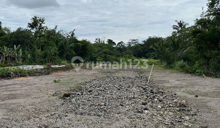 Yogyakarta, the City of Students, Ideal for the Right Investment