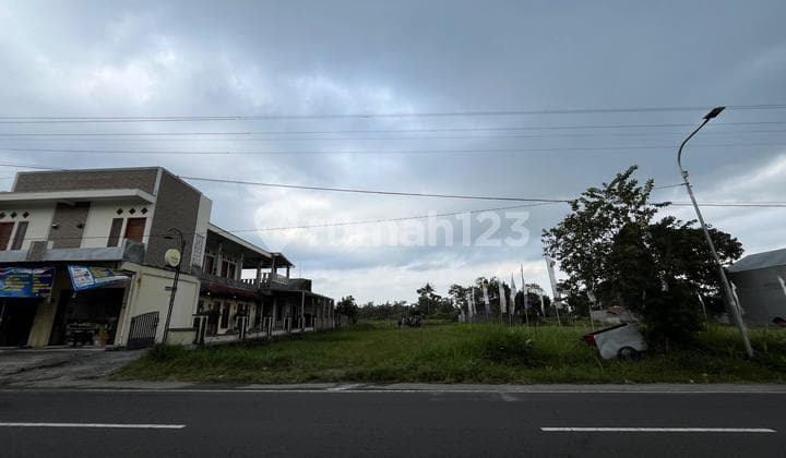 Dijual Tanah Jogja, Lokasi Mangku Jalan Aspal Pandowoharjo Raya