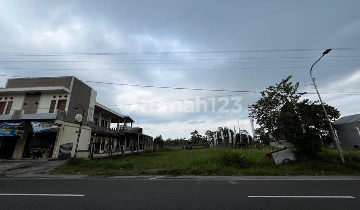 Dijual Tanah Jogja, Lokasi Mangku Jalan Aspal Pandowoharjo Raya
