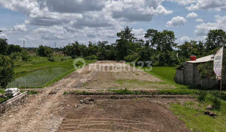 Tanah dengan Akses Premium Tepi Jl Pandowo Harjo Sleman