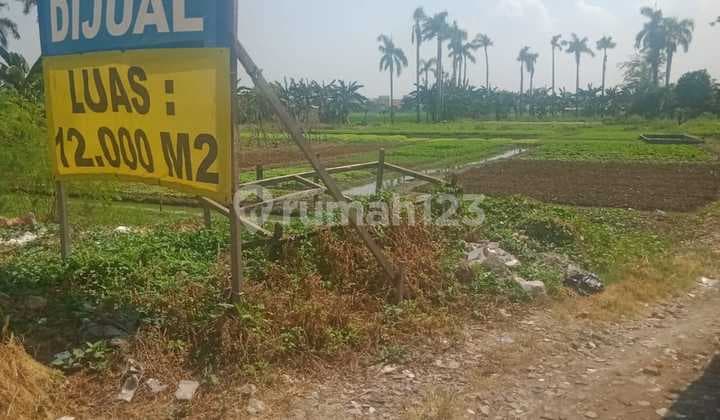 Dijual Tanah di Jl. Alas Tua Semanan Jsk Bar
