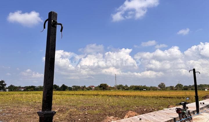 Tanah Dijual Murah Madiun Nglames Dekat Pintu Tol 100 Jt An