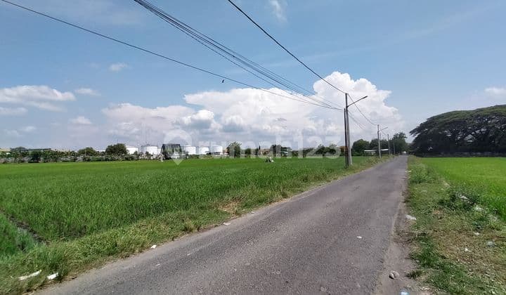 Gerbang Rezeki Baru! Tanah SHM di Pusat Aktivitas Madiun.