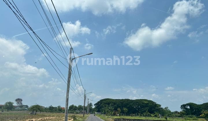 QUICK SALELAND IN MADIUN CITY NEAR SUNCITY AND STATION