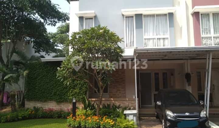 Rumah Siap Huni Di Thomson Utara Gading Serpong