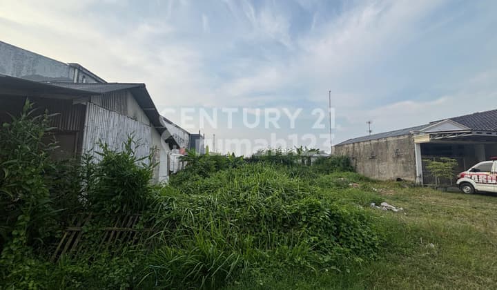 Tanah Luas di Desa Jati Reja Kampung Rawa Bangkong