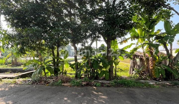 Tanah Cantik Shm Sawah Kotak Persegi - Lokasi Strategis Di Dekat Perumahan Casa Grande Maguwoharjo Depok Sleman