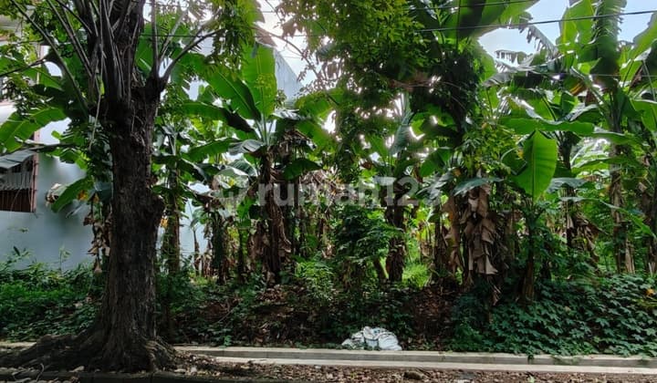 Dijual Tanah Kavling Sunter Danau Asri