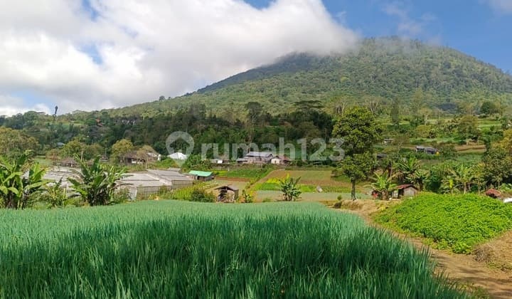Di Jual Tanah Kavling Di Candi Kuning Bedugul Bali View Bagus, Akses.mudah Ke Denpasar Gilimanuk Tanah Subur, Udara Sejuk Luas Tanah 99 Are Terdiri Dari 3 Shm - 25 Are² Shm- 25 Are² Shm - 49 Are² Shm Harga Per Are 160 Jt Total Harga 15.8 M Nego