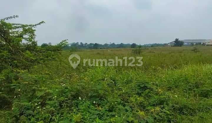Di Jual Lahan Cakep Cikupa Zona Kawasan Industri * SHM * Luas Tanah 13 Ha ( 130000 M2 ) Conteiner 40" * Hrg Kalau di Ambil Semua Lebih Murah * Sudah Banyak Pabrik " Besar di Sana Kurang Lbh 17 Pabrik Besar Harga. 1,5Jt/M Nego * Total Harga 195 M Nego