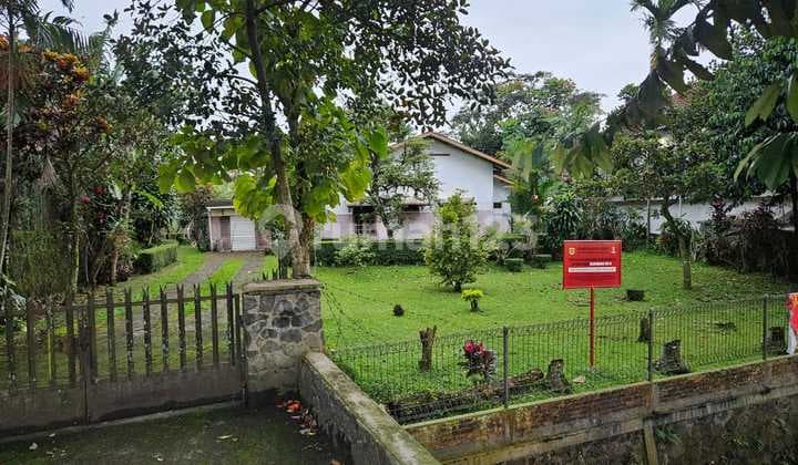 Dijual Tanah Murah Siap bangun untuk, Hotel, Resto, arena bermain, Tempat wisata, dan untuk usaha lainnya CIBOGO Puncak jawa barat 1,5 HA harga per meter Rp 3,5 jt Total Harga 52,5 M nego