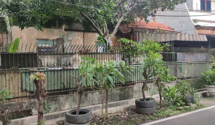Di Jual Tanah Alamat Jl .Pemadam Petojo Jakarta Pusat Luas Tanah : 345 M2 Lebar Depan: 15 M Panjang : 23 M Surat : SHM Hadap : Barat Bentuk Tanah : Kotak Sekarang Tinggal Tanah Saja. Harga 24,5 Juta / Harga : NJOP bisa Nego Total Harga 8,4 M Nego