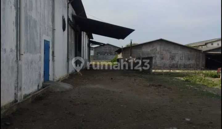 For Sale Warehouse
Main roadside Salembaran Kosambi
Land Area: 9,948 m²
Building Area: 3,000 m²
Electricity: 197,000 VA
Certificate: SHM 4 Books
Location:
~ Close to Soetta Airport
~ 1 km to airport toll access
~ 1 km to PIK2
Price: 72M negotiable